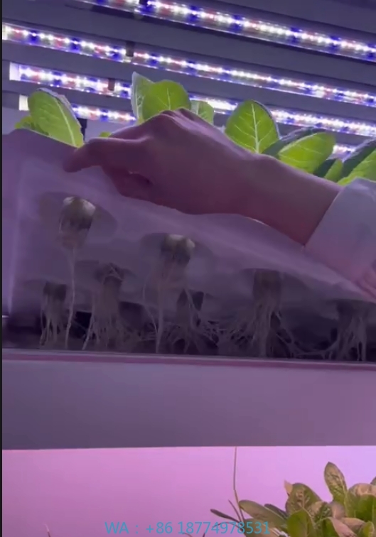 f Equipo agrícola de invernade - Agriculture Farming System reseña y precio