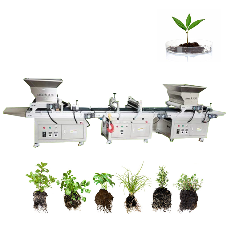 Máquina de siembra y trasplant - Agriculture Onion Farming reseña y precio