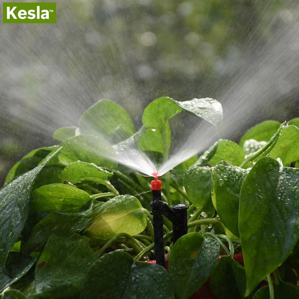 KESLA 20 piezas-boquilla de ne - Agriculture Farming Degree reseña y precio